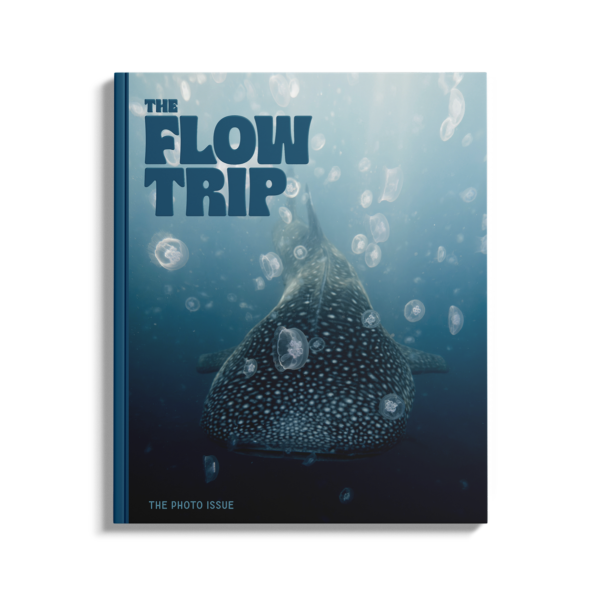 The Photo Issue 03.03
