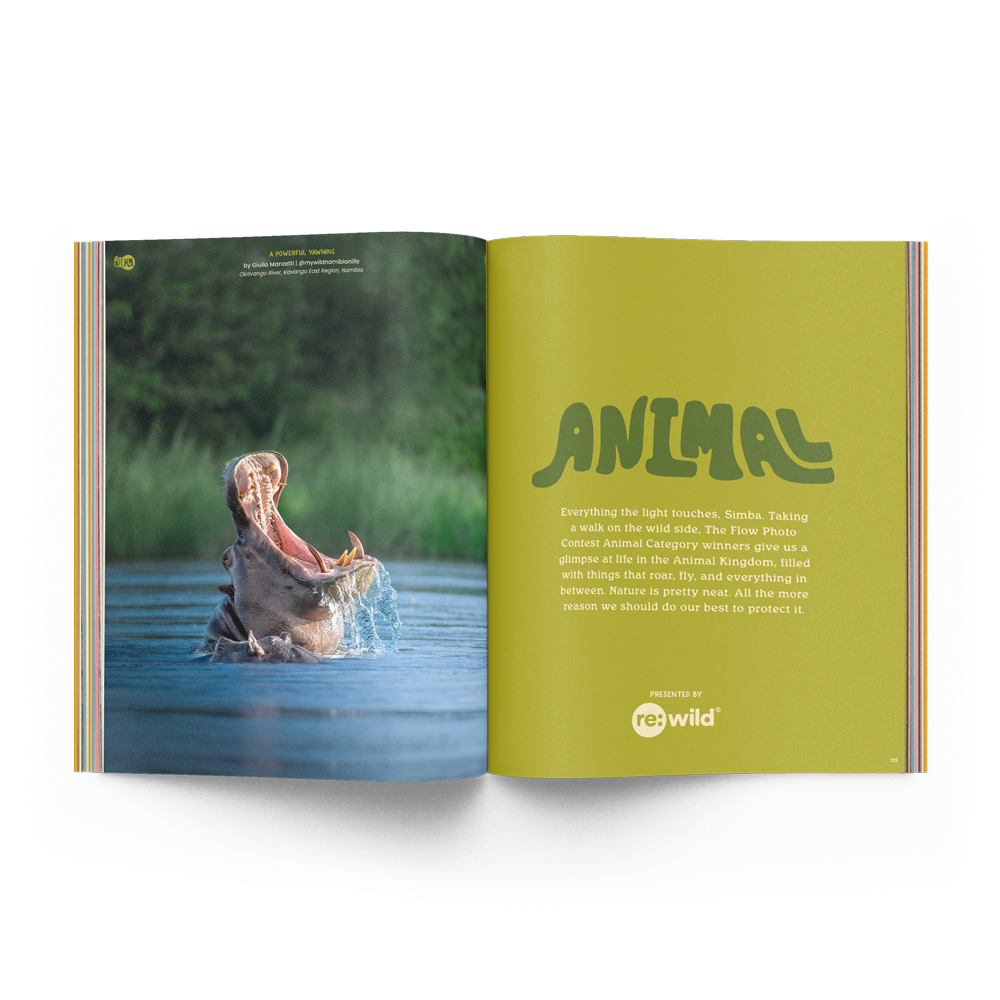 The Photo Issue 02.03