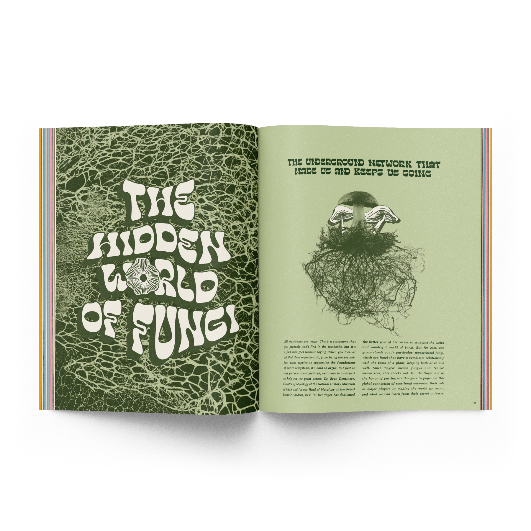 The Roots Issue 02.02