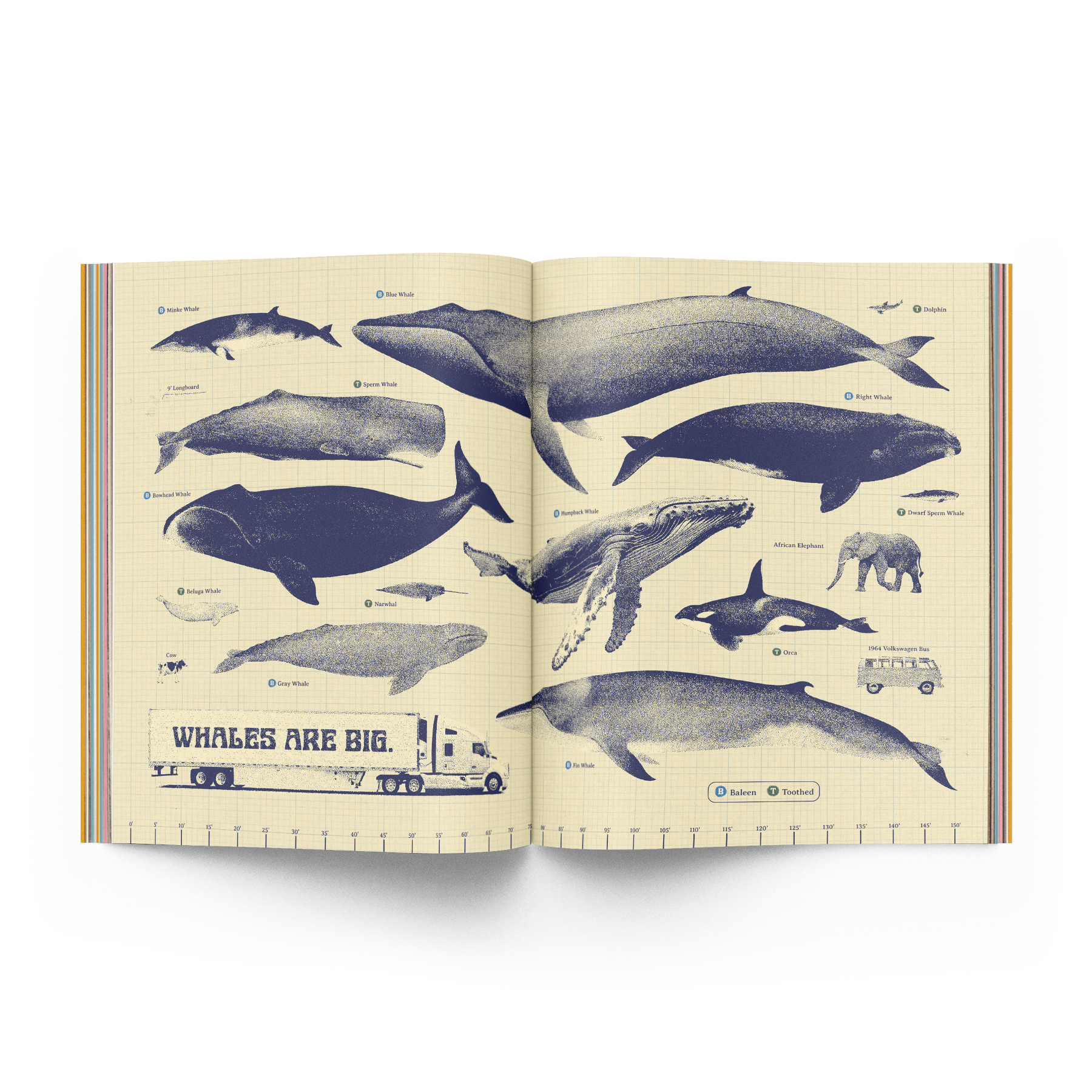 The Whale Issue 02.04