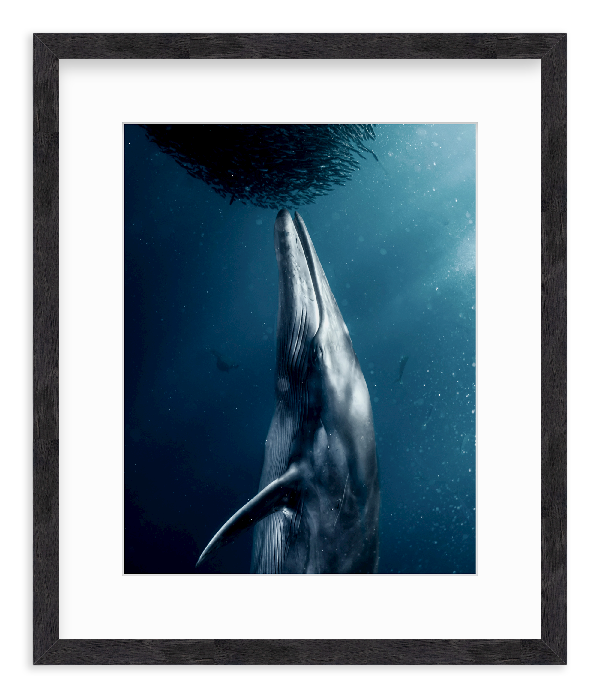 Once in a Lifetime by Michele du Plooy