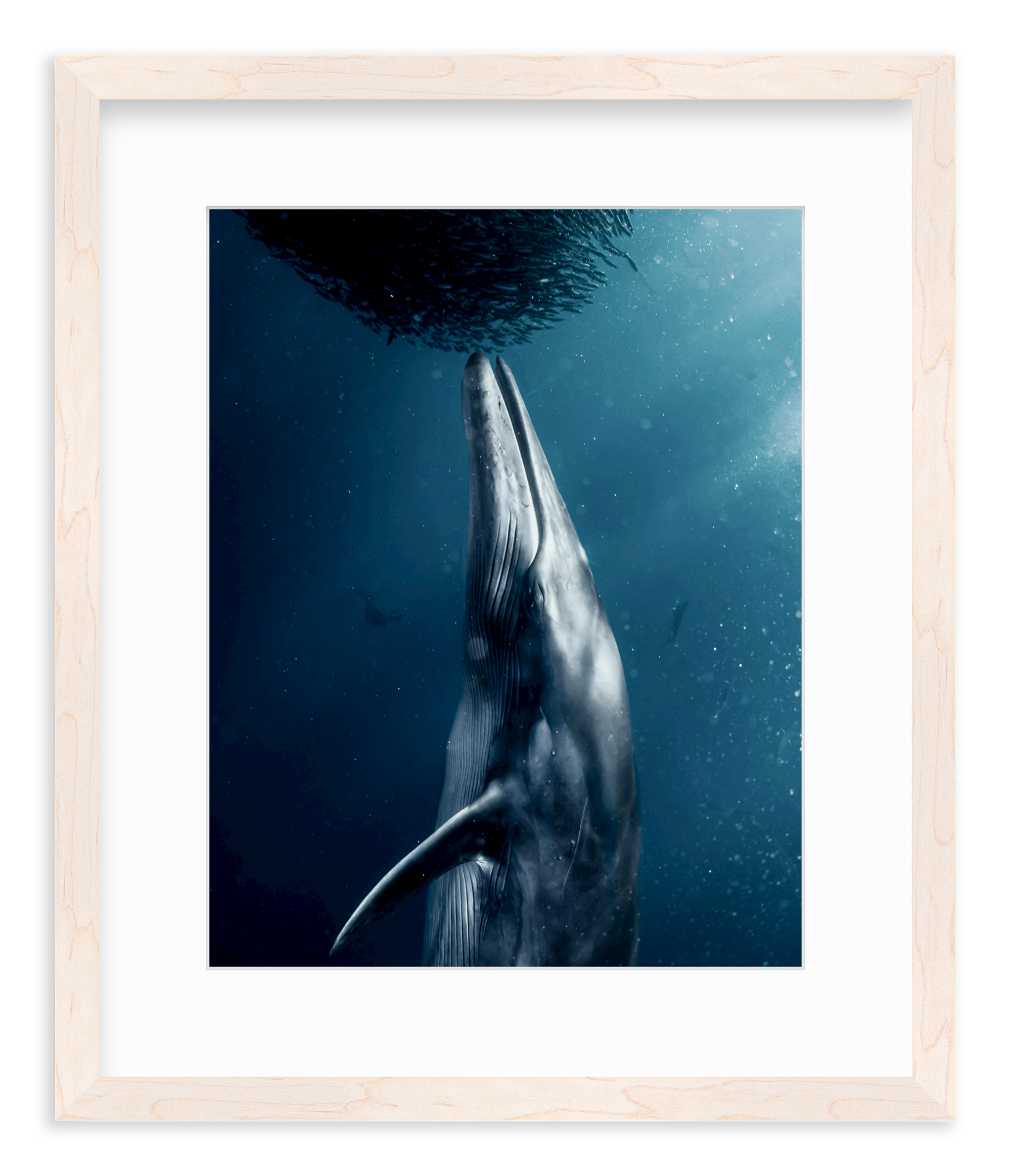 Once in a Lifetime by Michele du Plooy