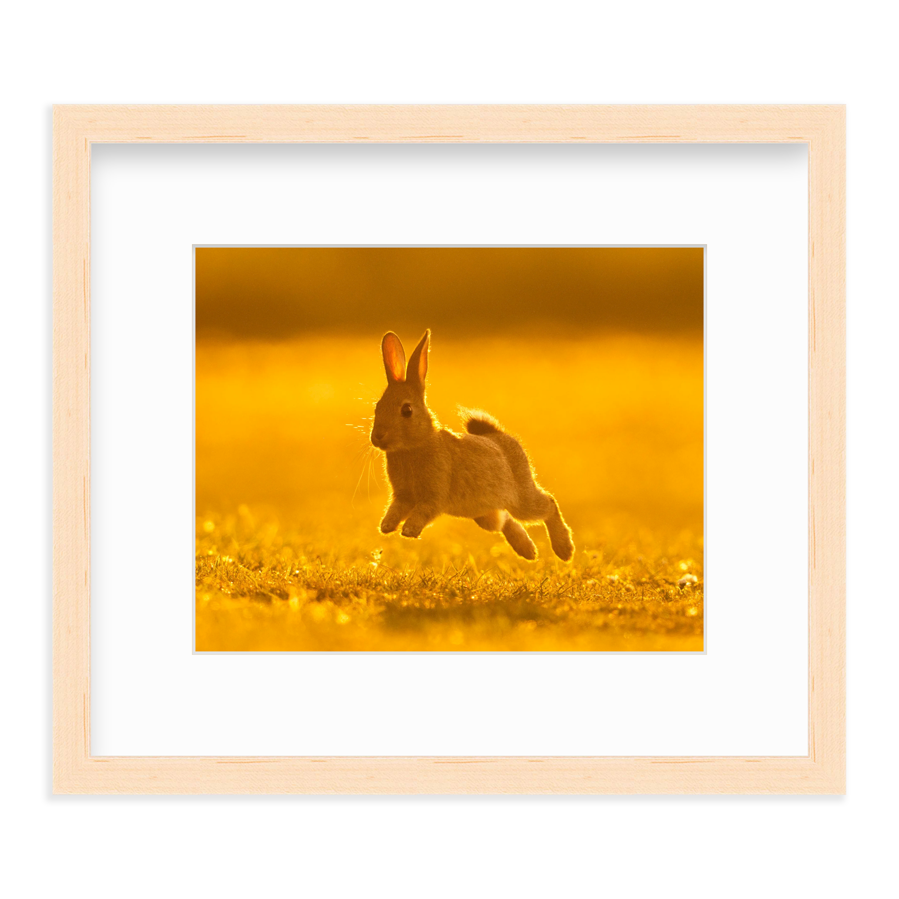 Run Rabbit Run! by Vai Meng Chan