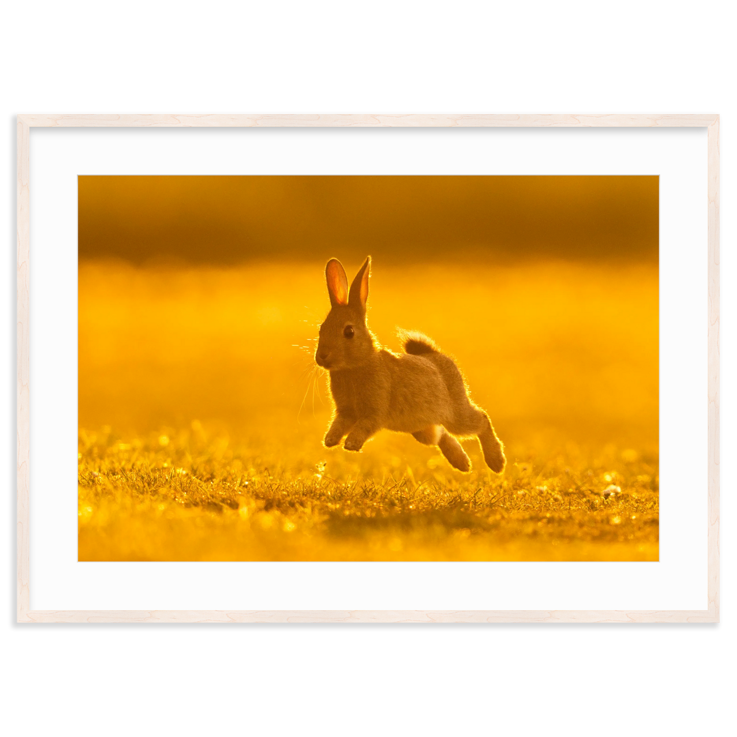 Run Rabbit Run! by Vai Meng Chan