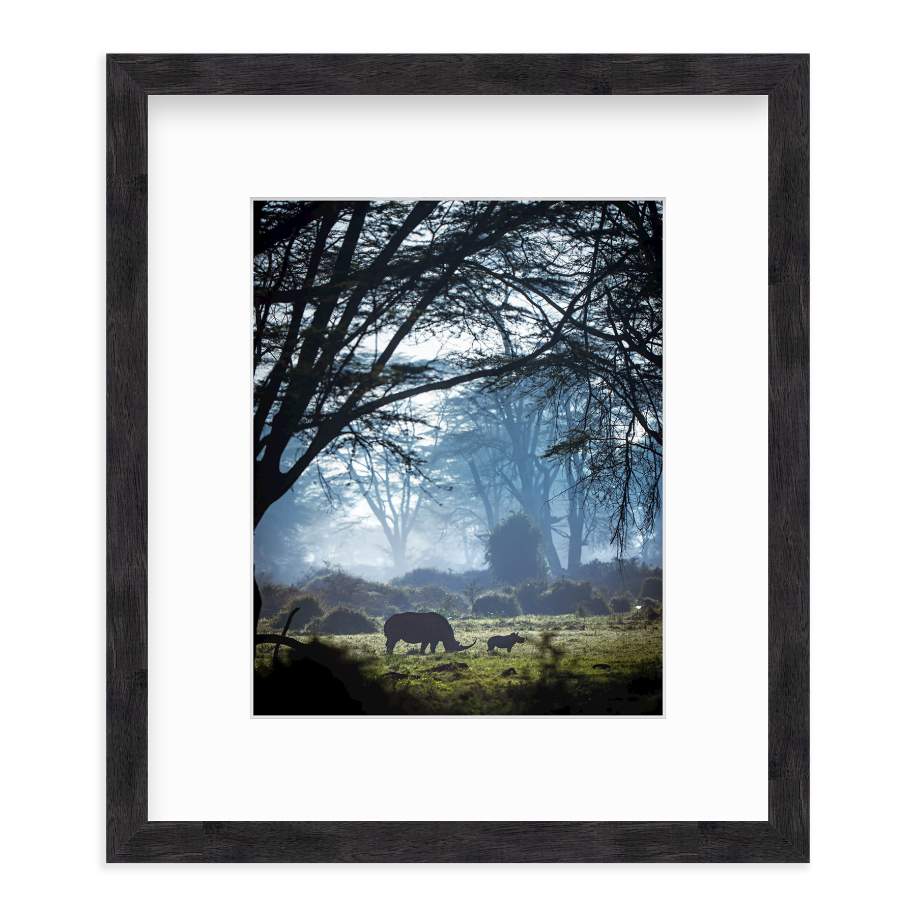 Silhouettes in the Mist by Merche Llobera