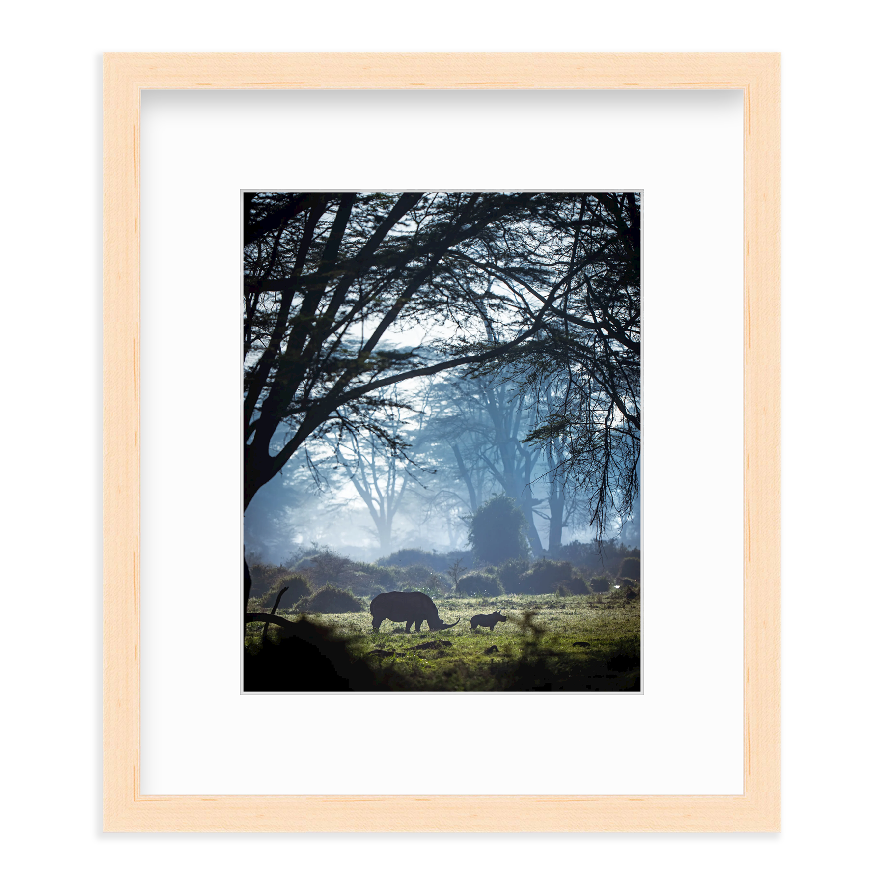 Silhouettes in the Mist by Merche Llobera