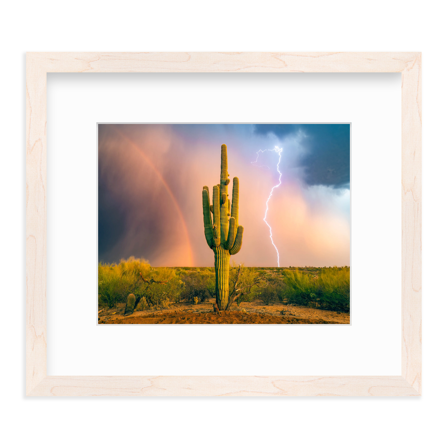Sonoran Summer by Sean Parker