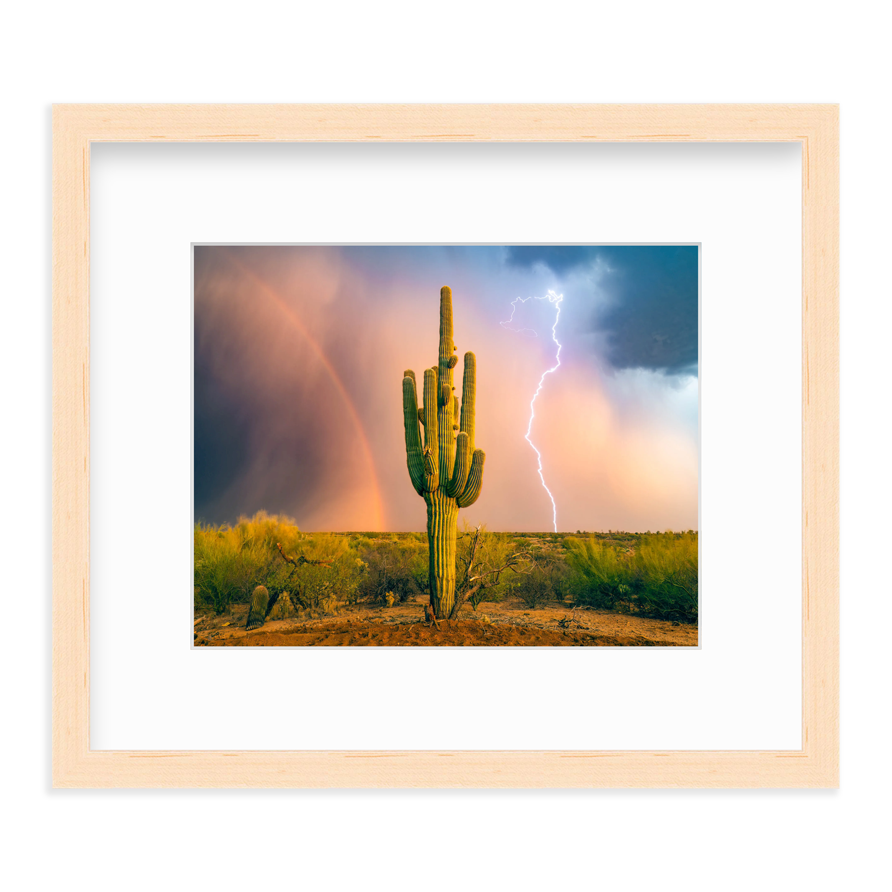 Sonoran Summer by Sean Parker