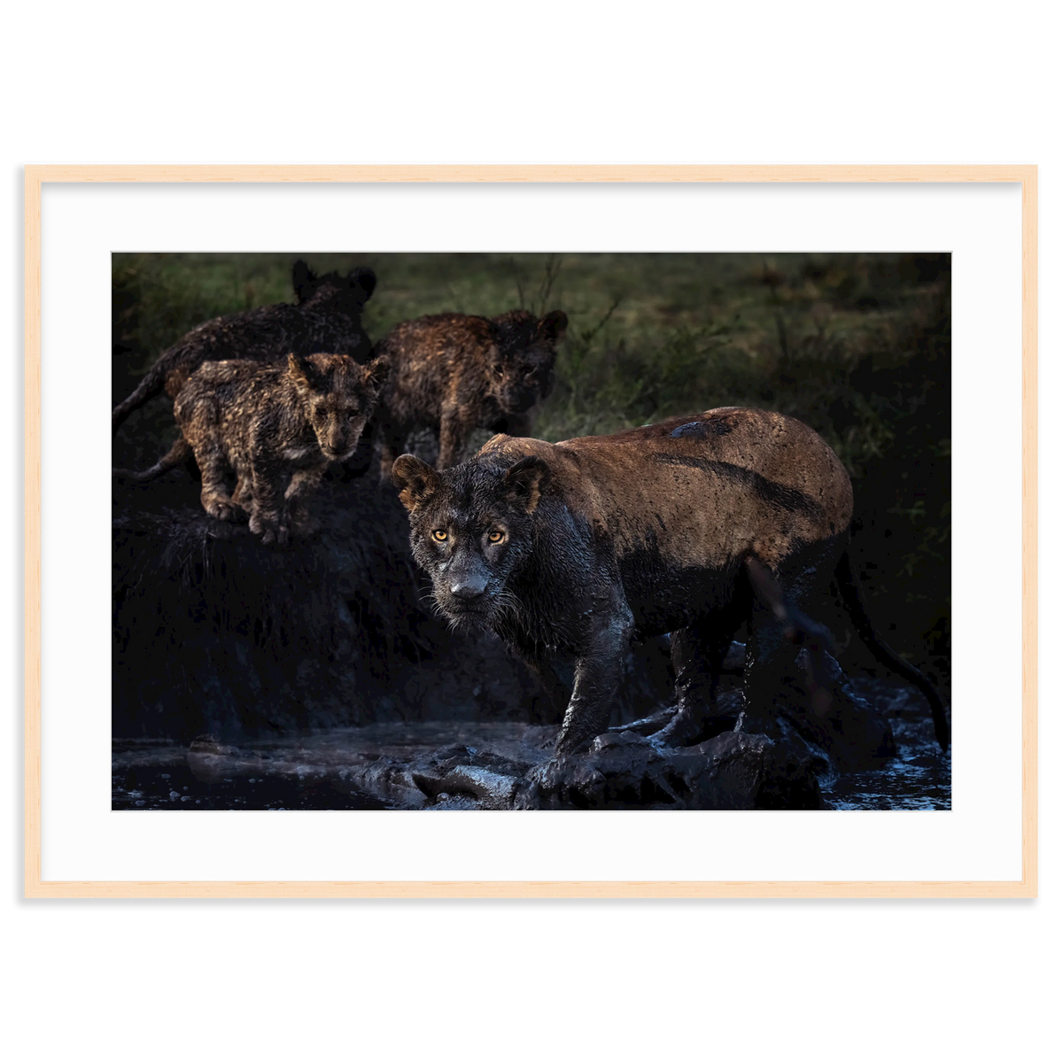 The Mud Clan by Merche Llobera
