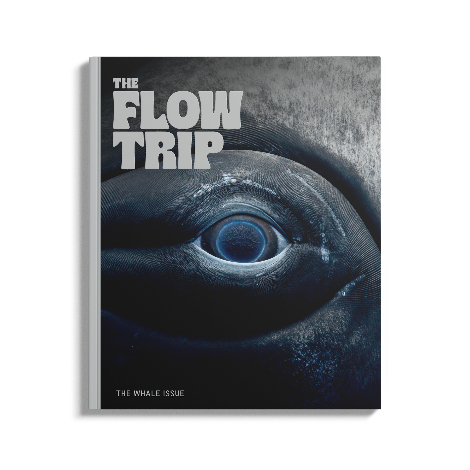 The Whale Issue 02.04