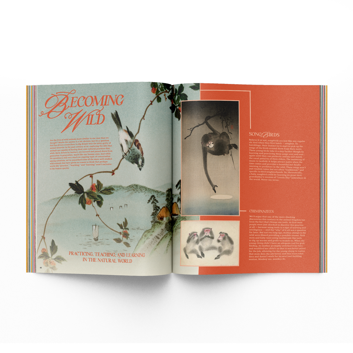 The Practice Issue 01.04