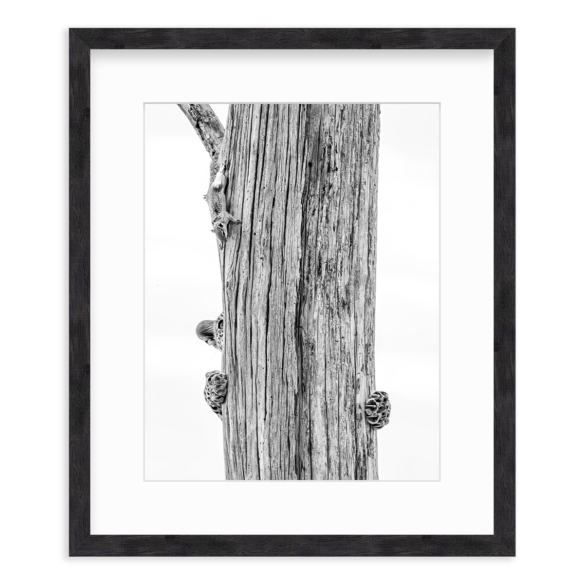 The Hunt by Allegra Hutton