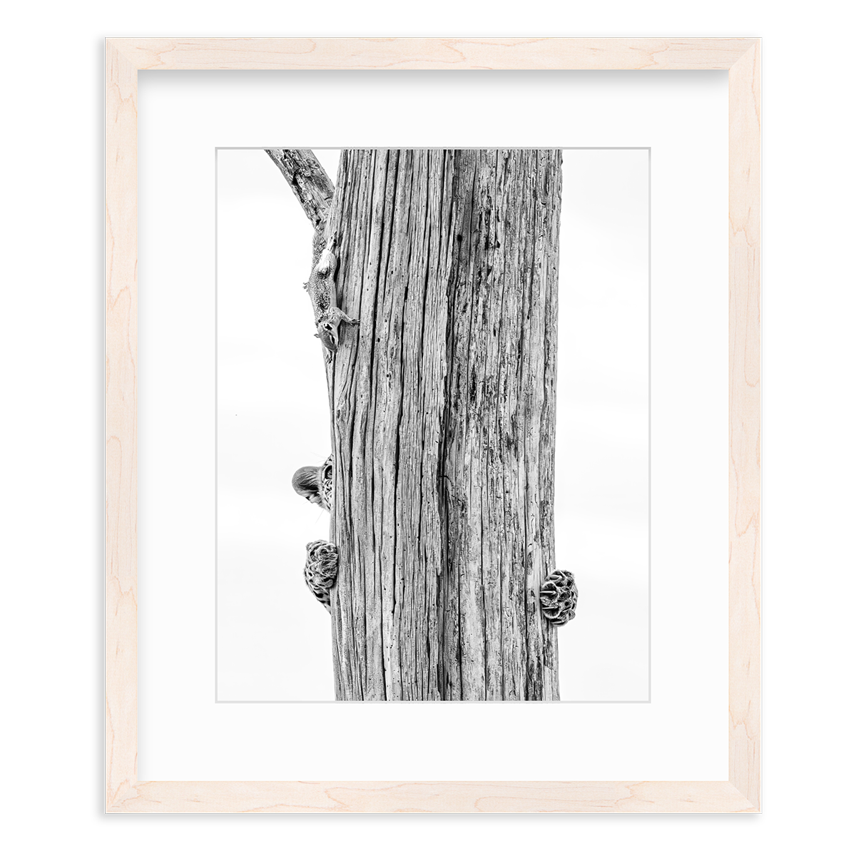 The Hunt by Allegra Hutton