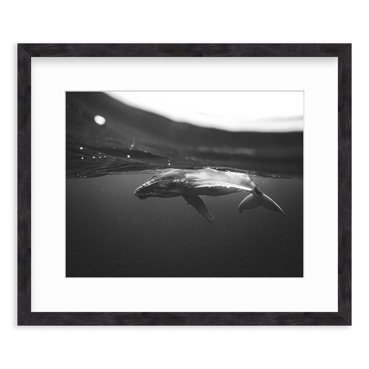 Weightless Wonder by Raja Iliya