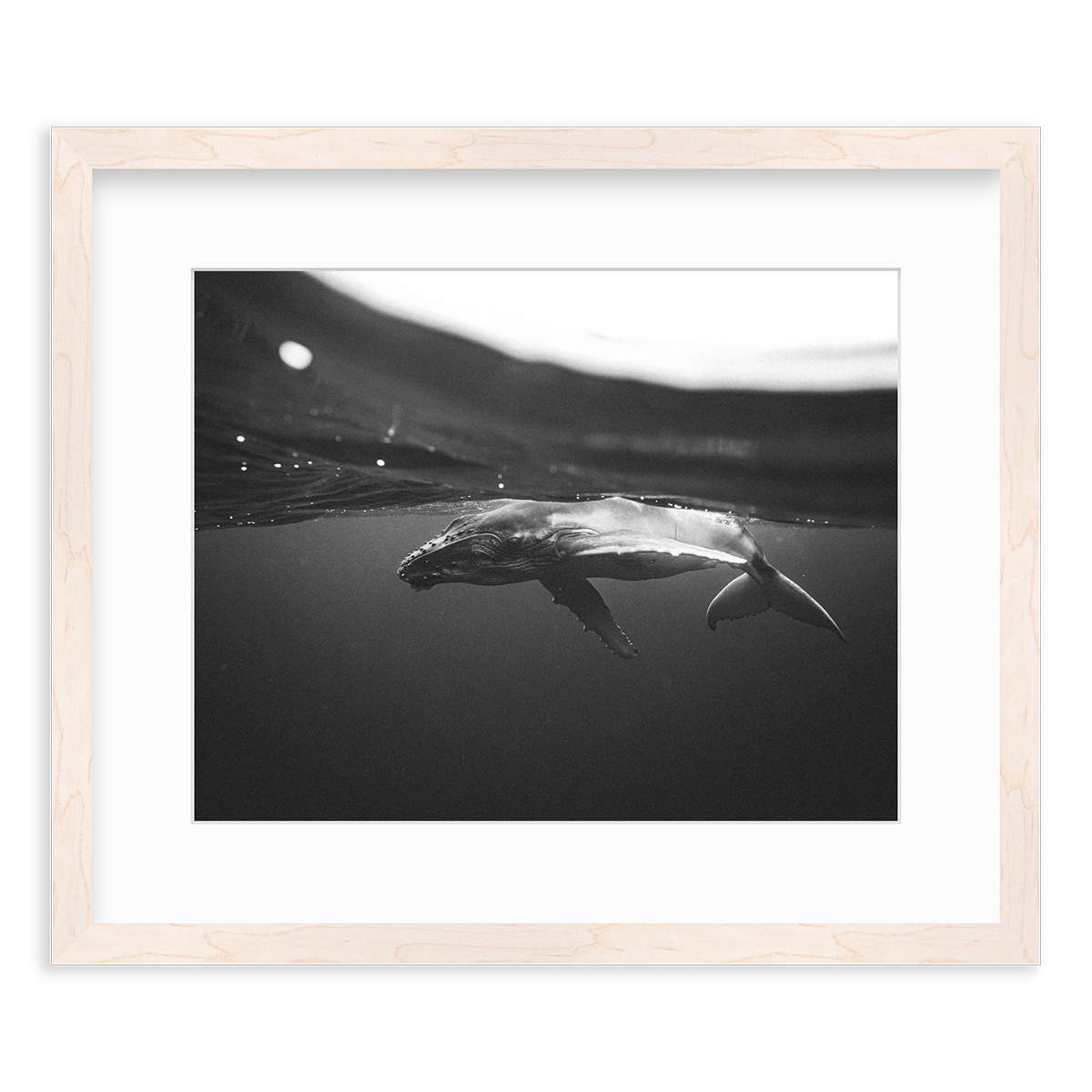 Weightless Wonder by Raja Iliya