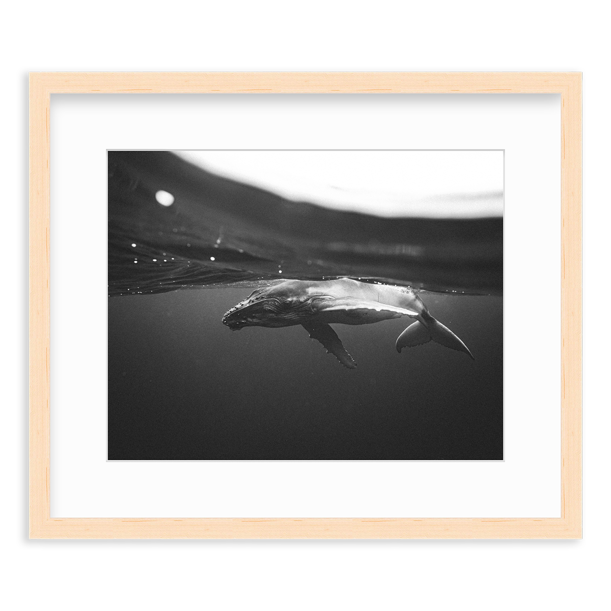 Weightless Wonder by Raja Iliya