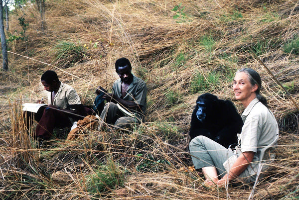 The Conscience of Conservation