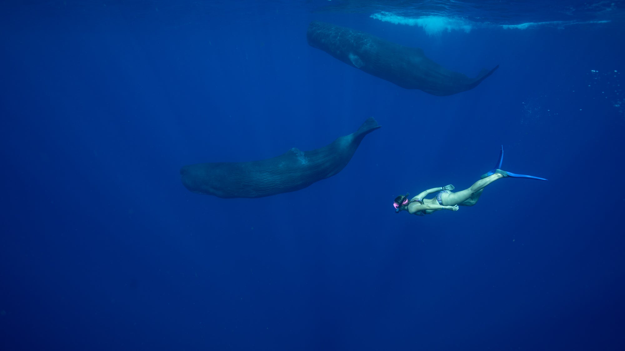 What the Water Gave Me