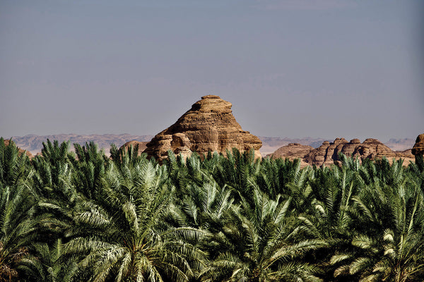 A Tapestry of Tradition and Tomorrow