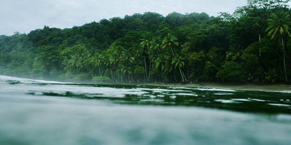 The Rhythm of Pura Vida