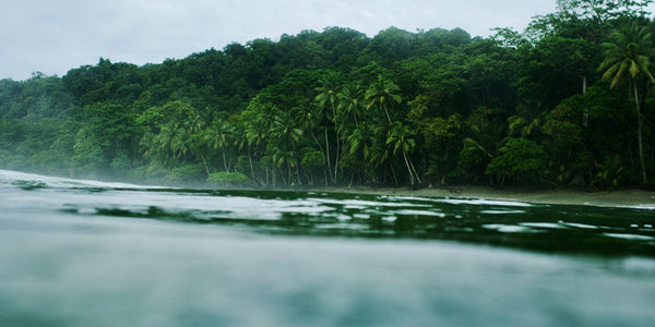 The Rhythm of Pura Vida