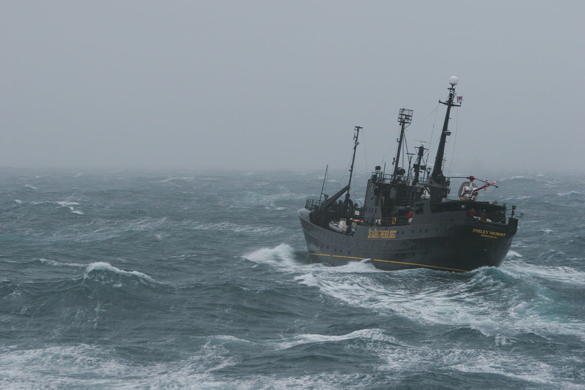 Look for the Helpers