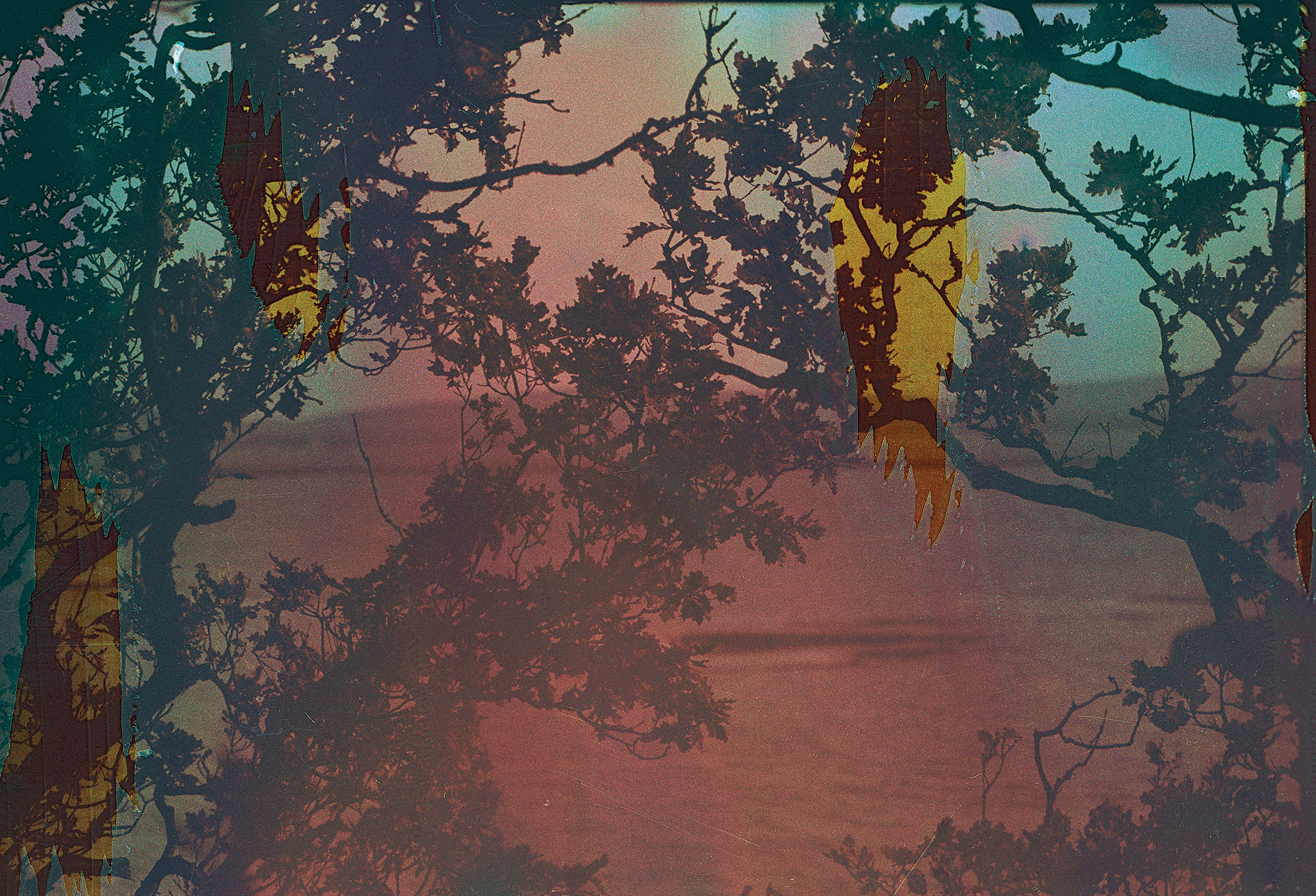 Altered Consciousness – Flow