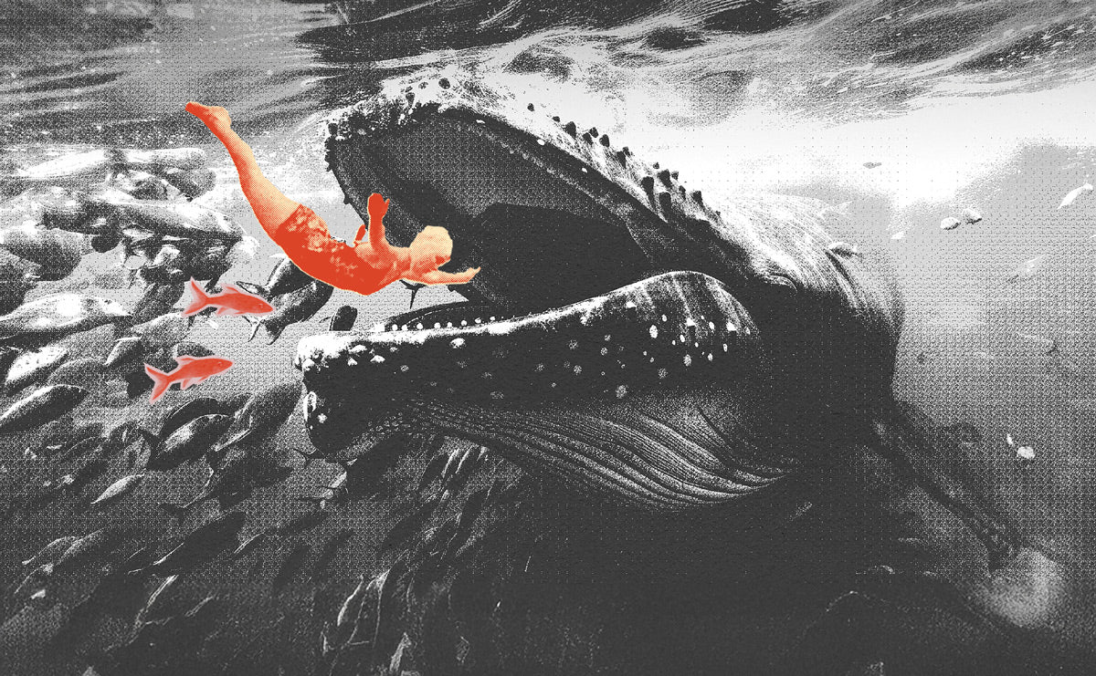 Escaping the Belly of the Beast