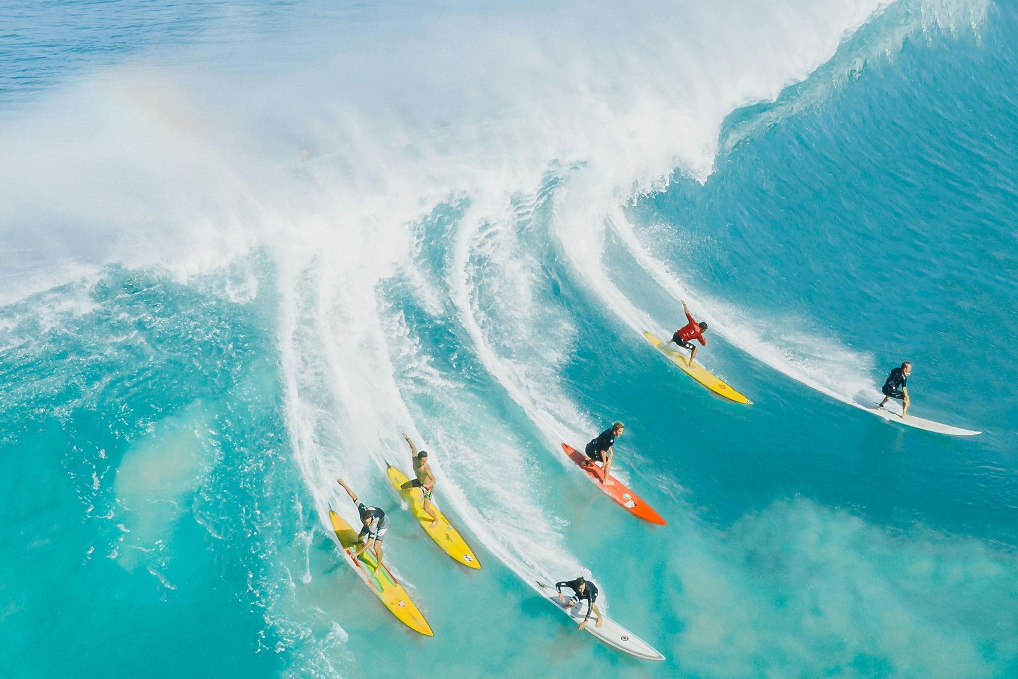 A Wave of Euphoria