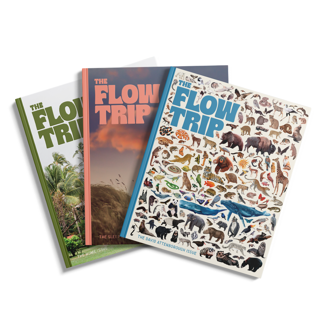 Subscribe to The Flow Trip