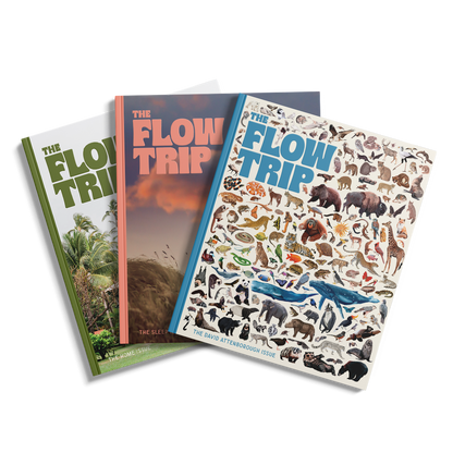 Subscribe to The Flow Trip