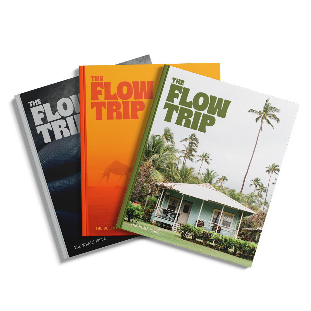 Subscribe to The Flow Trip