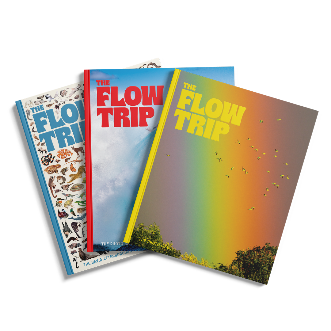Subscribe to The Flow Trip