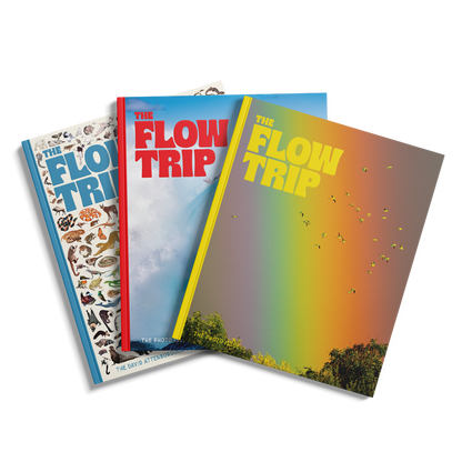 Subscribe to The Flow Trip