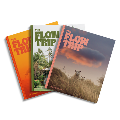 Subscribe to The Flow Trip