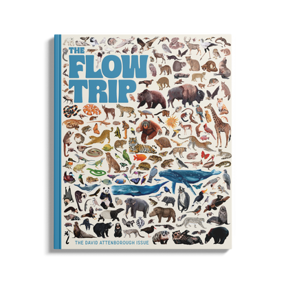 The David Attenborough Issue 03.02