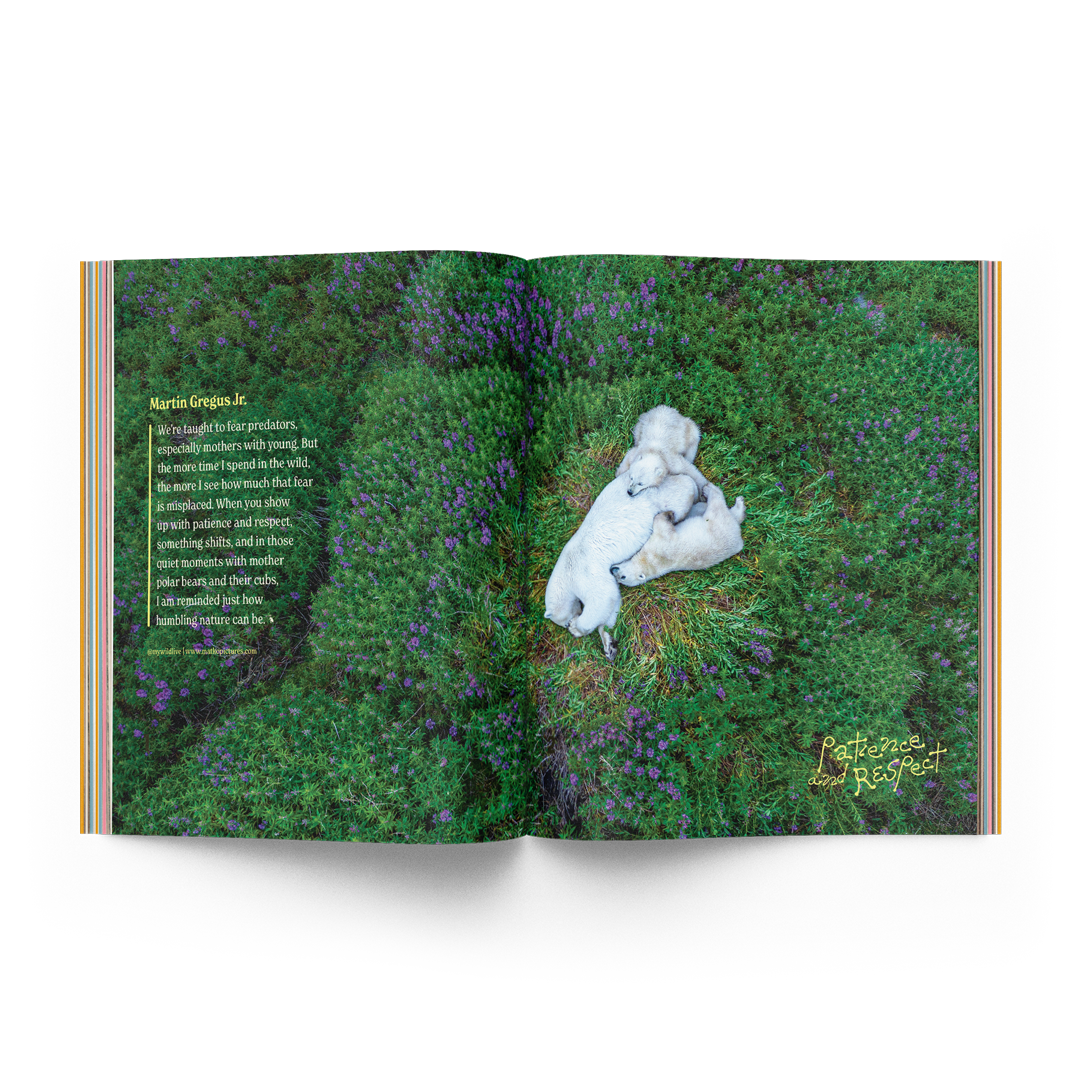The David Attenborough Issue 03.02