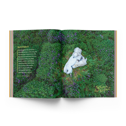 The David Attenborough Issue 03.02