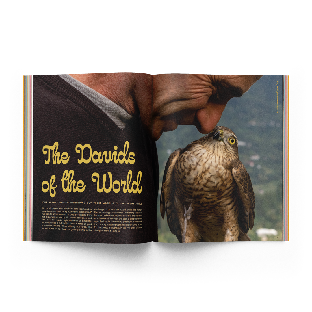 The David Attenborough Issue 03.02