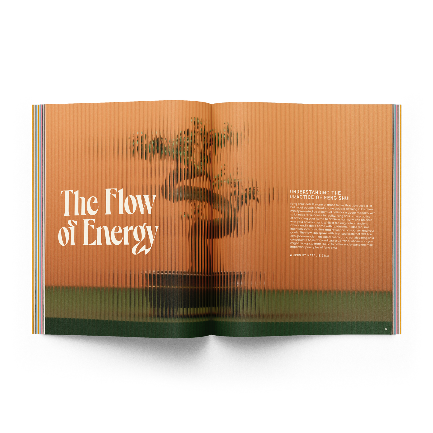 The Home Issue 02.06