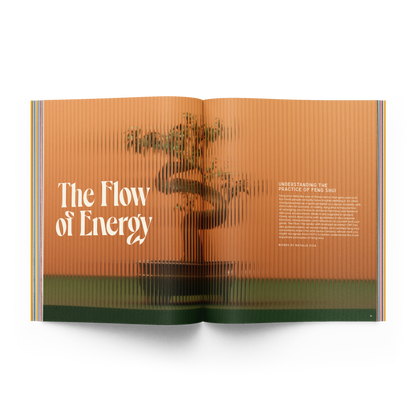 The Home Issue 02.06