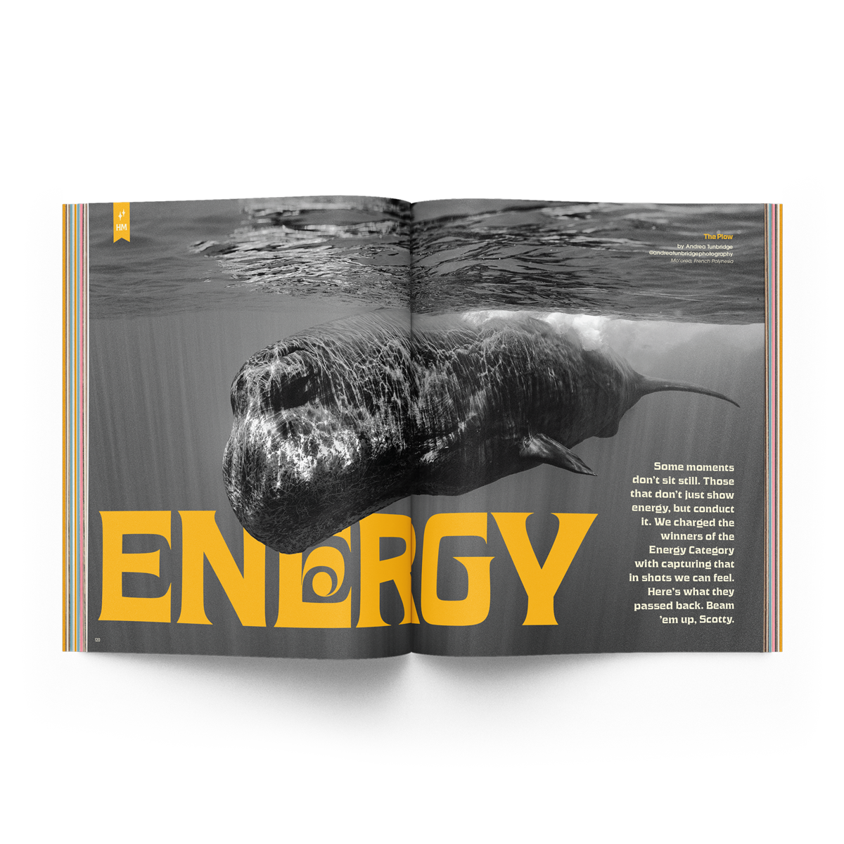 The Photo Issue 03.03