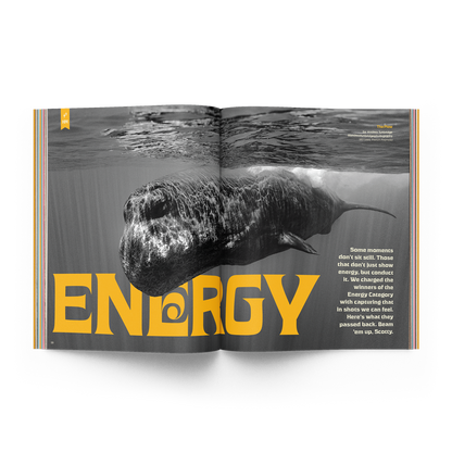 The Photo Issue 03.03