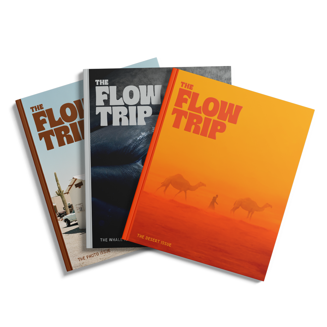 Subscribe to The Flow Trip