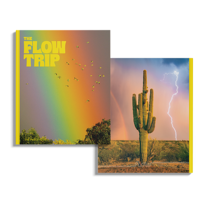 The Photo Issue 03.03