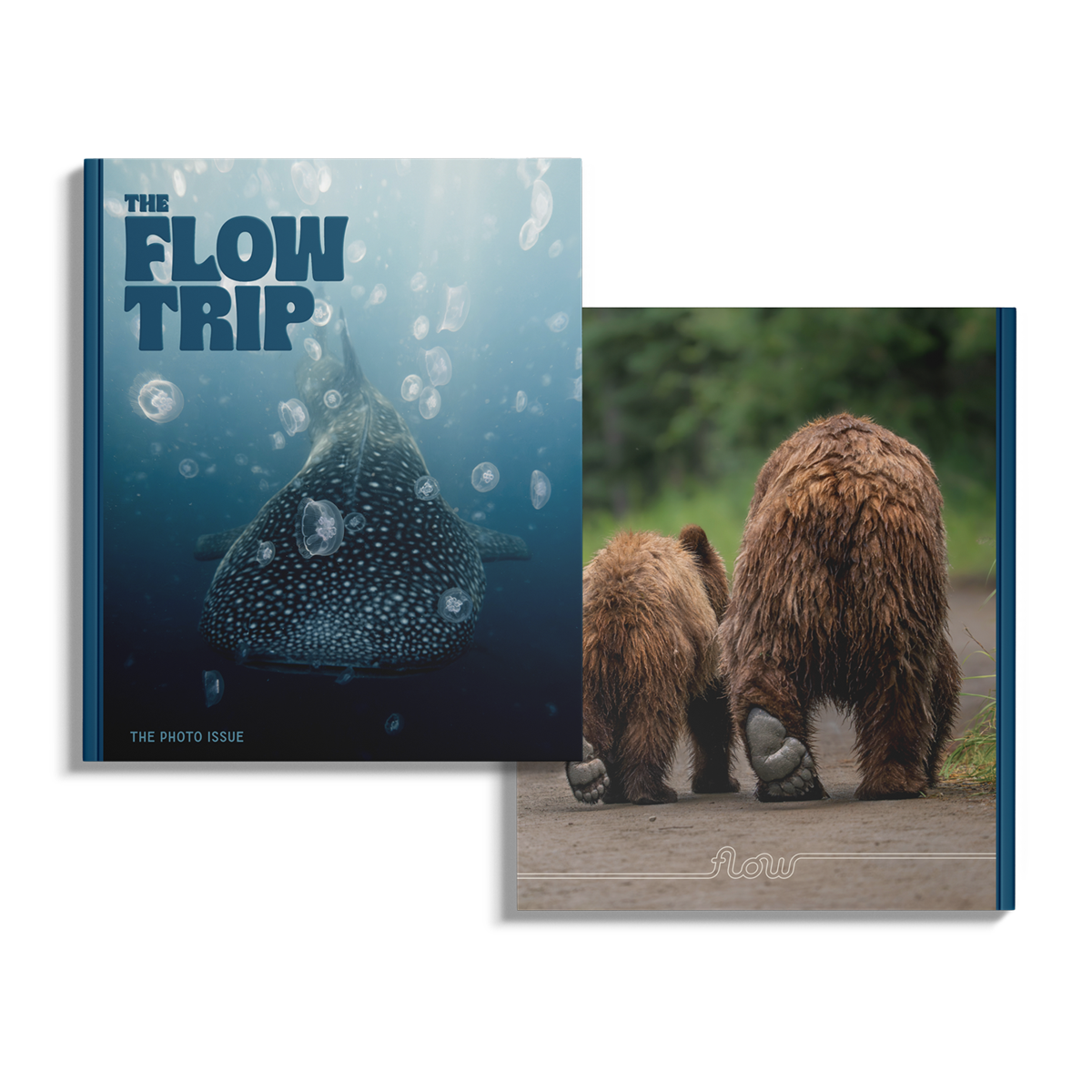 The Photo Issue 03.03