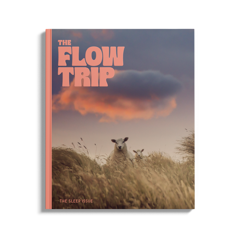 The Sleep Issue 03.01