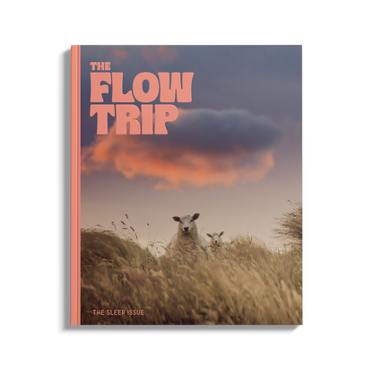 The Sleep Issue 03.01