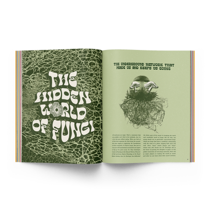 Subscribe to The Flow Trip (Limited-time 50% off)