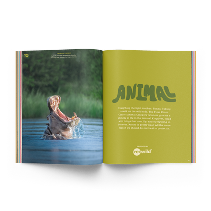 The Photo Issue 02.03